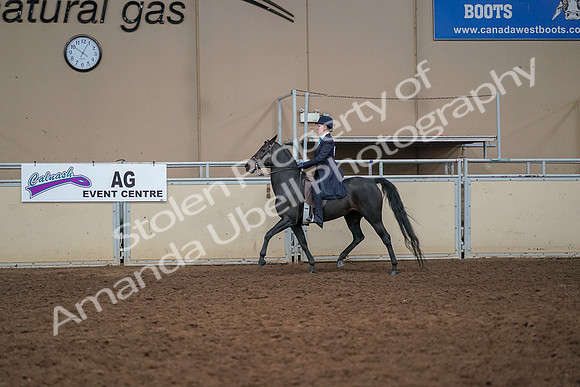 2019 Morgan Horse Show - Aug 30, 2019 - 12236