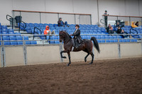 Class 135 - Morgan Eng Pl Amateur Jr Exhibitor Championship
