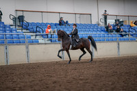 2019 Morgan Horse Show - Aug 31, 2019 - 24565