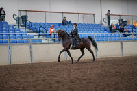 2019 Morgan Horse Show - Aug 31, 2019 - 24566