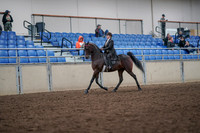 2019 Morgan Horse Show - Aug 31, 2019 - 24567