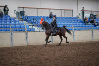 2019 Morgan Horse Show - Aug 31, 2019 - 24568