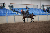 2019 Morgan Horse Show - Aug 31, 2019 - 24569