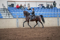 2019 Morgan Horse Show - Aug 31, 2019 - 24570