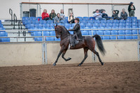 2019 Morgan Horse Show - Aug 31, 2019 - 24571