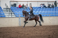 2019 Morgan Horse Show - Aug 31, 2019 - 24572