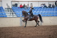 2019 Morgan Horse Show - Aug 31, 2019 - 24573