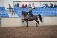 2019 Morgan Horse Show - Aug 31, 2019 - 24574