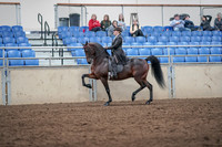 2019 Morgan Horse Show - Aug 31, 2019 - 24575