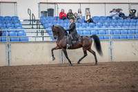 2019 Morgan Horse Show - Aug 31, 2019 - 24576