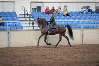 2019 Morgan Horse Show - Aug 31, 2019 - 24577