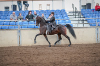 2019 Morgan Horse Show - Aug 31, 2019 - 24578