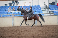 2019 Morgan Horse Show - Aug 31, 2019 - 24579