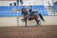 2019 Morgan Horse Show - Aug 31, 2019 - 24581