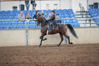 2019 Morgan Horse Show - Aug 31, 2019 - 24580