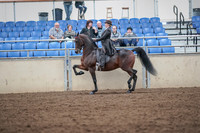2019 Morgan Horse Show - Aug 31, 2019 - 24582