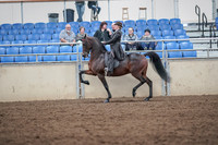 2019 Morgan Horse Show - Aug 31, 2019 - 24583