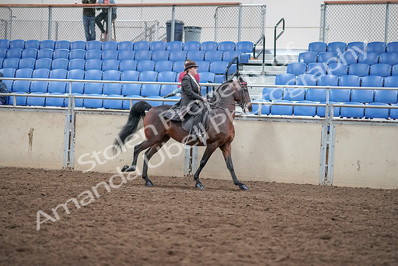 2019 Morgan Horse Show - Aug 31, 2019 - 24731