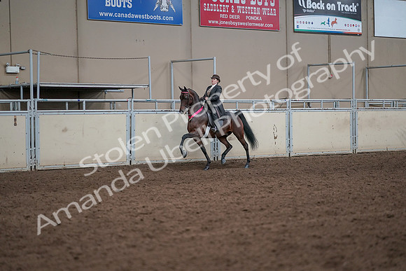 2019 Morgan Horse Show - Aug 31, 2019 - 24743