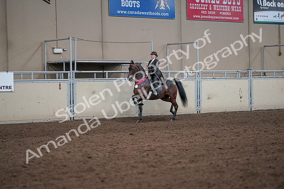 2019 Morgan Horse Show - Aug 31, 2019 - 24753