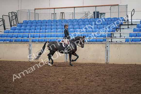 2019 Morgan Horse Show - Aug 30, 2019 - 12437