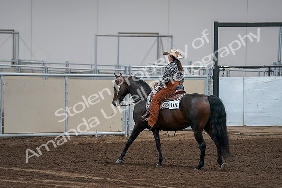 2020 - AB Morgan Horse - Fri, Sept 04 - 00449