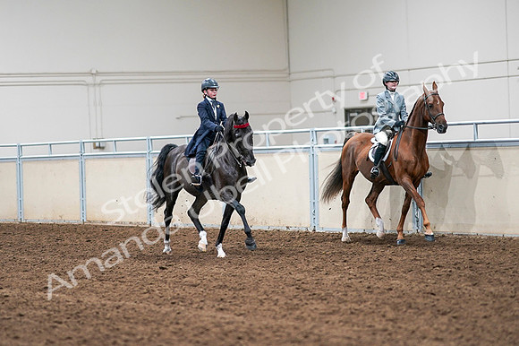 2020 - AB Morgan Horse - Fri, Sept 04 - 03155