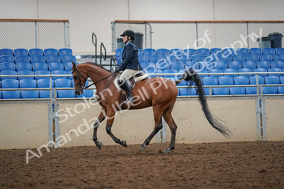 2019 Morgan Horse Show - Aug 30, 2019 - 22356