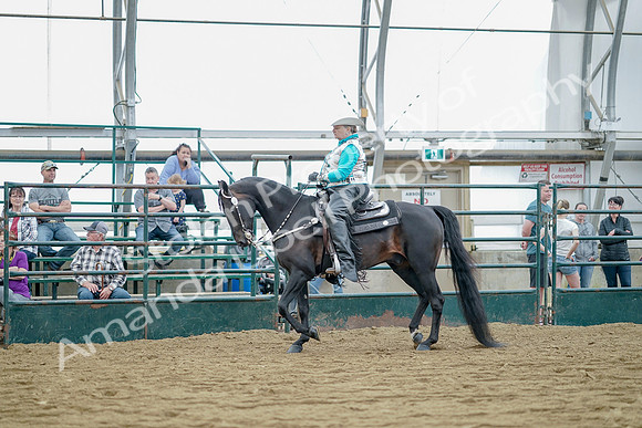 July 21, 2019 - 09107