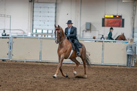 2020 - AB Morgan Horse - Sat, Sept 05 - 09367