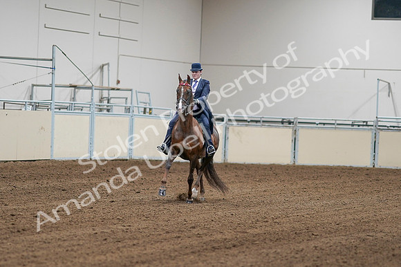 2020 - AB Morgan Horse - Fri, Sept 04 - 08159