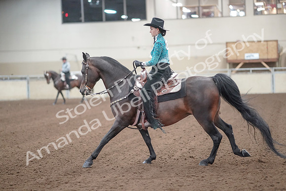 2019 Morgan Horse Show - Sept 01, 2019 - 06979