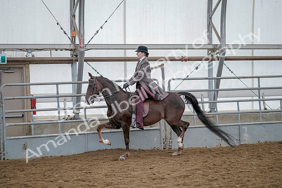 July 20, 2019 - 14631