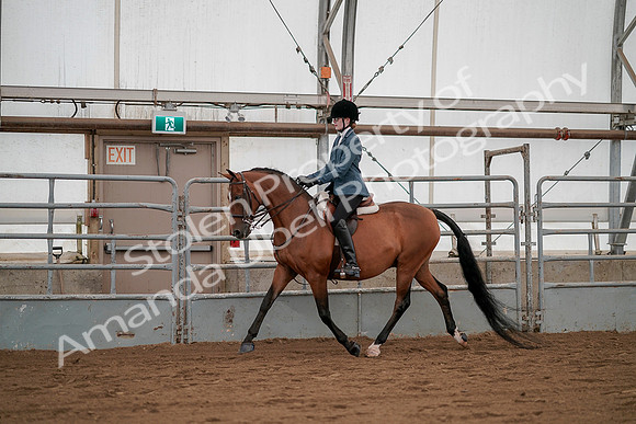 July 19, 2019 - 2486