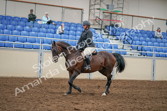 2020 - AB Morgan Horse - Sat, Sept 05 - 14466