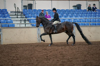2019 Morgan Horse Show - Aug 30, 2019 - 19873