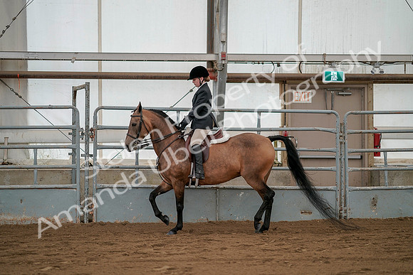 July 19, 2019 - 2549