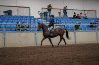2019 Morgan Horse Show - Aug 31, 2019 - 05562