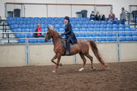2019 Morgan Horse Show - Aug 31, 2019 - 16905