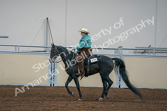 2020 - AB Morgan Horse - Fri, Sept 04 - 00604