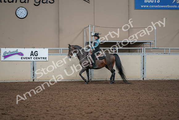 2019 Morgan Horse Show - Aug 30, 2019 - 25967
