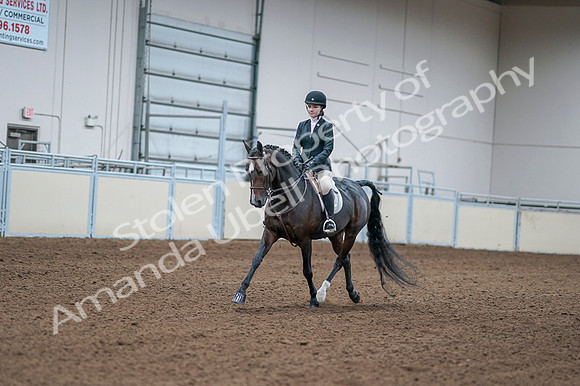 2020 - AB Morgan Horse - Fri, Sept 04 - 06154