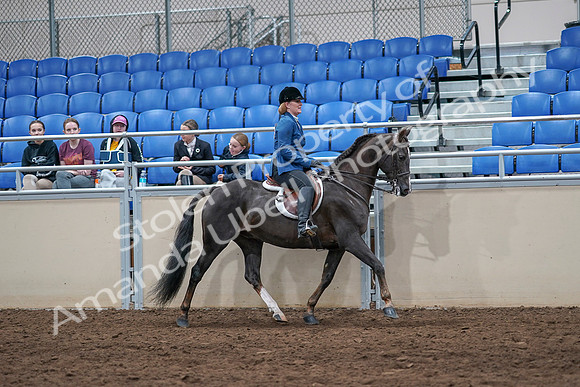 2020 - AB Morgan Horse - Sat, Sept 05 - 05217