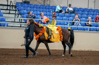 2020 - AB Morgan Horse - Sat, Sept 05 - 05772
