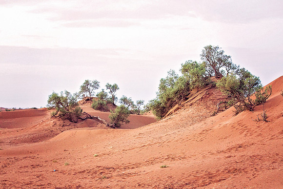 Morocco - 127