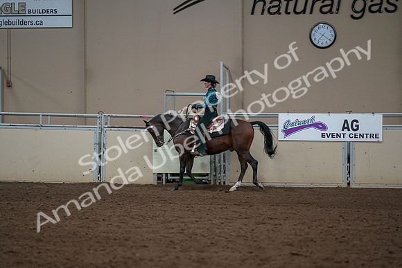 2019 Morgan Horse Show - Aug 30, 2019 - 26036