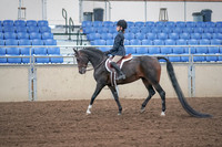 2019 Morgan Horse Show - Sept 01, 2019 - 05481