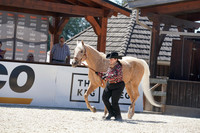 198 - HA Ranch Horse Conformation