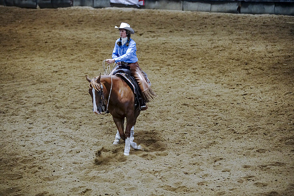 DSC07928
