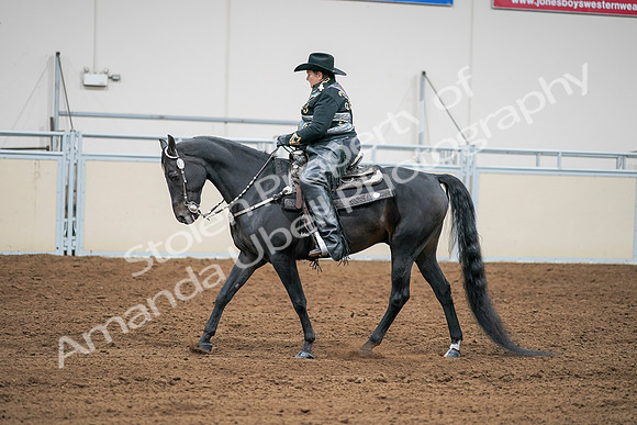 2020 - AB Morgan Horse - Sat, Sept 05 - 08963